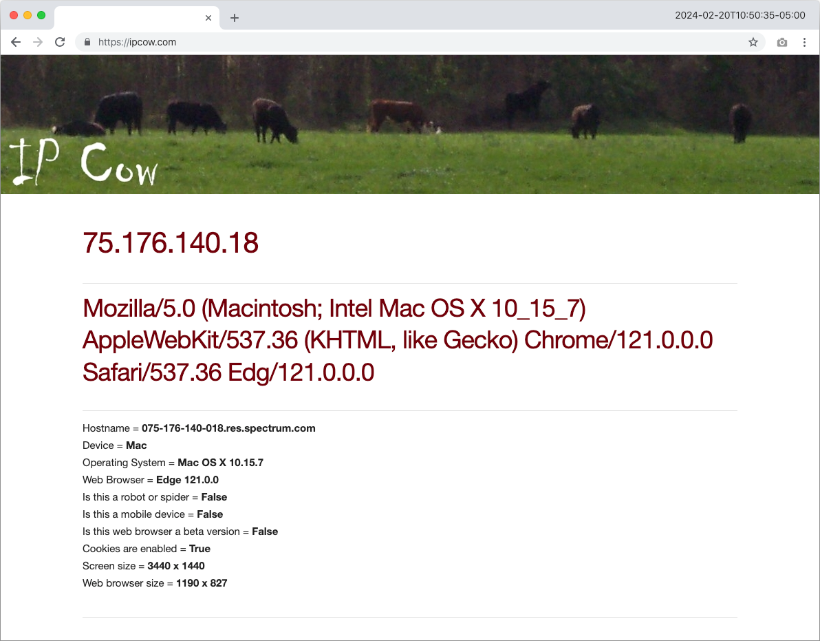 The classic ipcow.com — your public IP address, user-agent and connection details, and not much else.